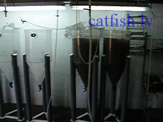 ����������� � ����������� ������� ���