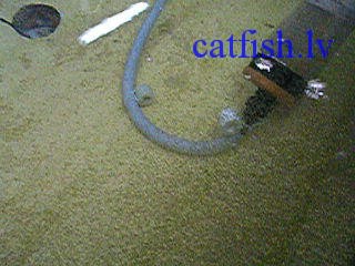 ������� ������� �� ������������ �����