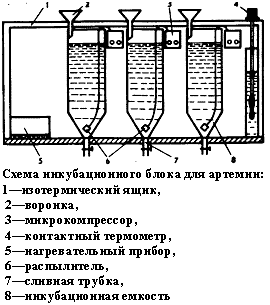 ��������� �������